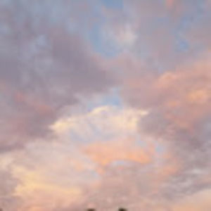 Meet your Posher, Toriana